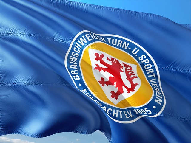 健康状态 健康状态