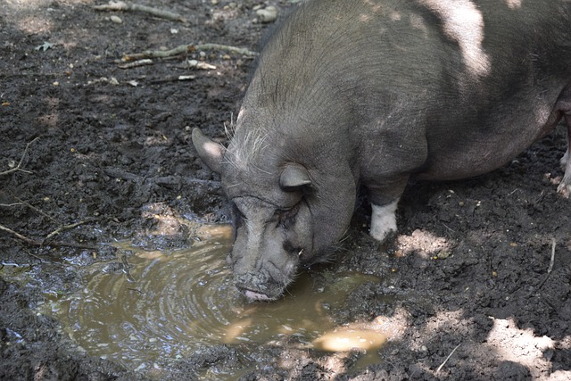 廖承坚则可 廖承坚则可