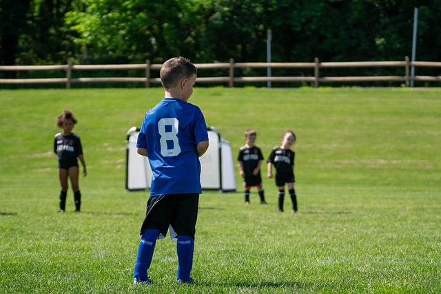 球员被赋予 球员被赋予