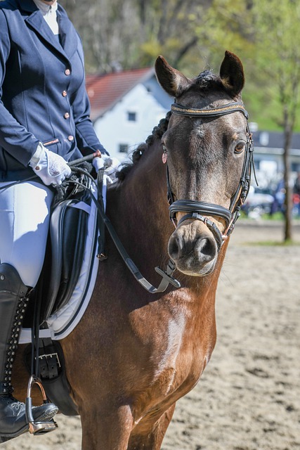 对阵联盟强 对阵联盟强