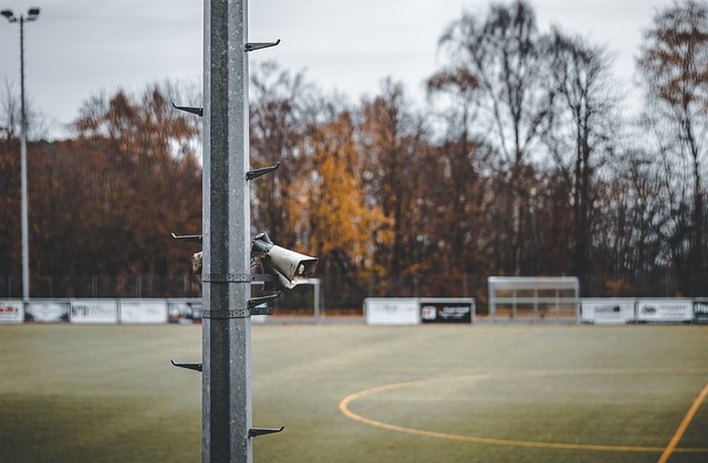 本文将探讨 本文将探讨