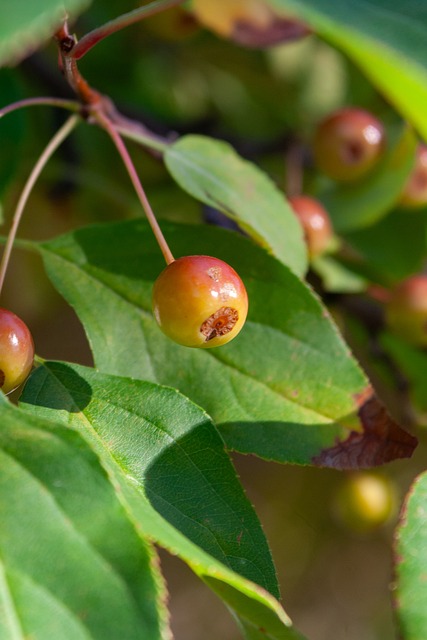 而武汉卓尔 而武汉卓尔
