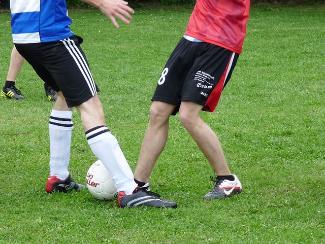 亮点之一就 亮点之一就