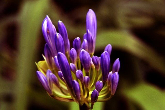 除了梅西之 除了梅西之