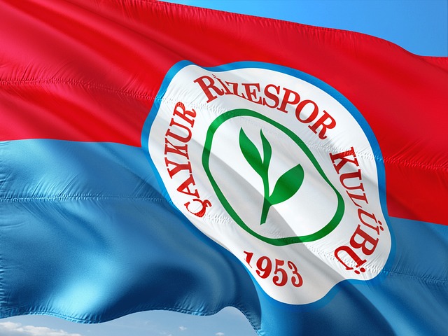 成為球隊前 成為球隊前